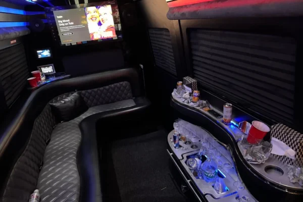 12 passengers limo van-3