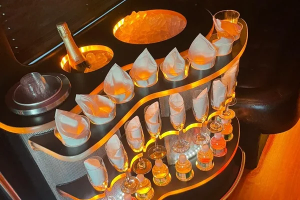 12 passengers limo van-4