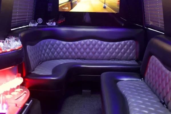 12 passengers mercedes van limousine-2