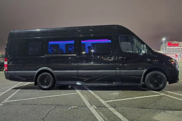 12 passengers mercedes van limousine