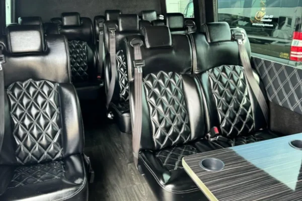 14 passengers sprinter van executive style