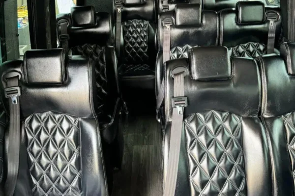 14 passengers sprinter van executive style