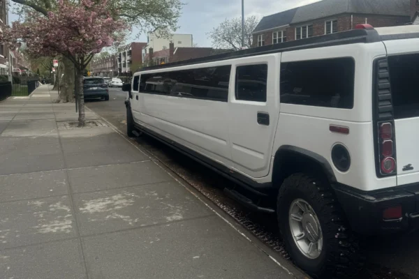 20 passengers hummer limo