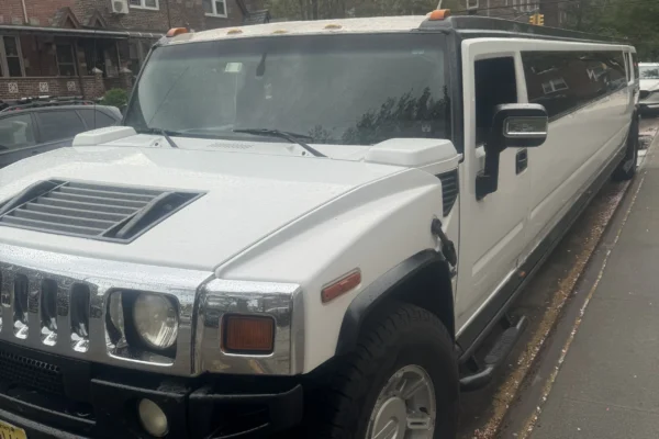 20 passengers hummer limo